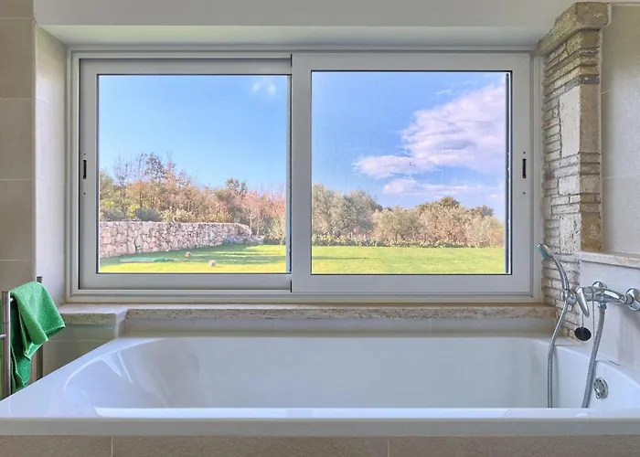 펜션 Dioniz 로비니